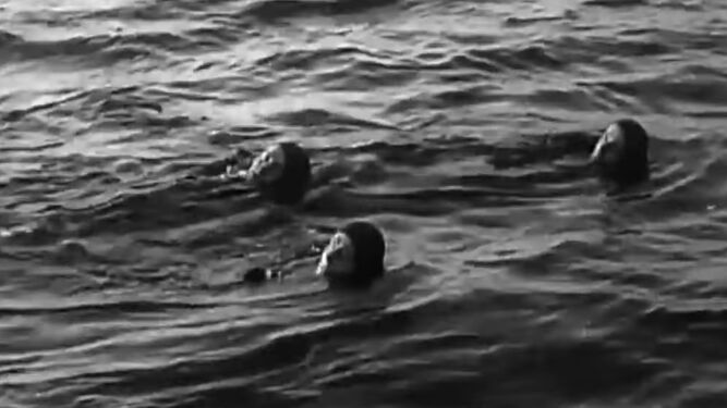 Buceadores de Combate practicando la técnica de natación que luego emplearían en su maniobra de  aproximación.