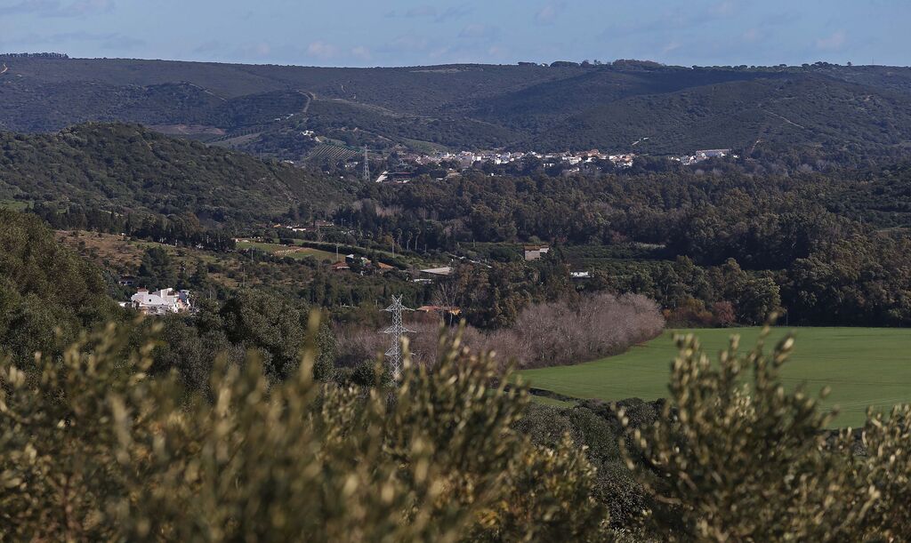 La Almoraima produce el primer aceite de oliva del  Campo de Gibraltar