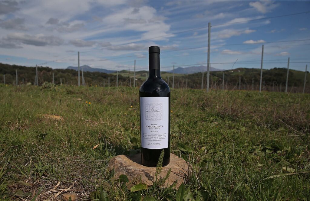 Fotos del lugar donde se produce Ribera de Hozgarganta, el primer vino del  Campo de Gibraltar