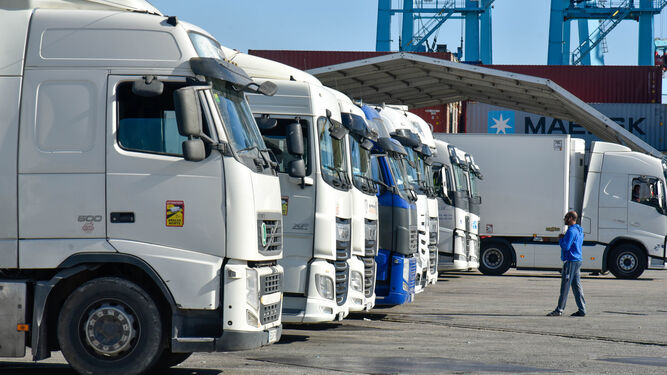Camiones aparcados junto al Punto de Control Fronterizo del Puerto de Algeciras.