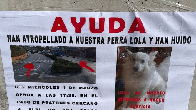 Una imagen del cartel tras el atropello de una perrita en El Puerto.