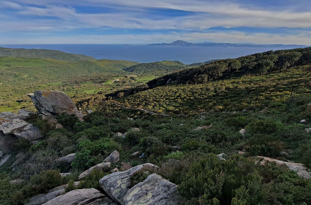 Fotos de la ruta de El Bujeo en Algeciras