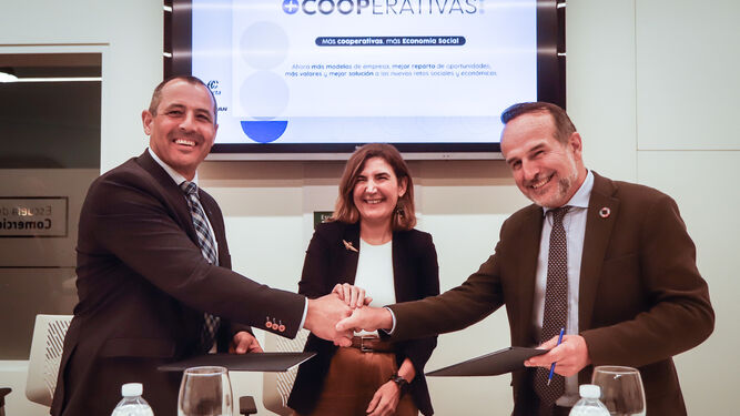 Andalucía lidera el cooperativismo nacional por empleo, número de entidades y cifra de negocio