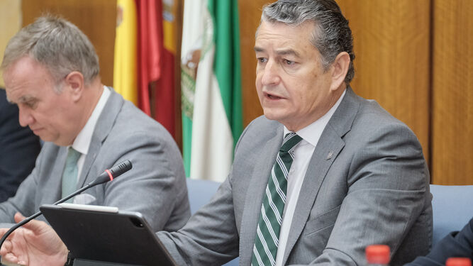 Antonio Sanz durante su intervención en la comisión del Parlamento.