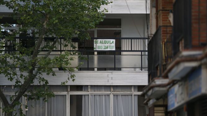Vista de los carteles de alquiler en un piso de Madrid esta semana.