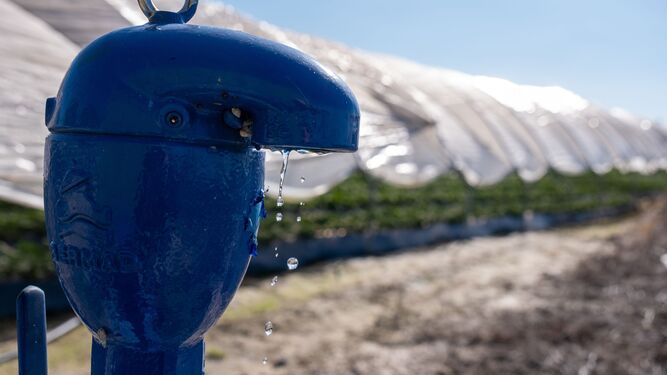 Una toma de agua en una finca fresera de la provincia de Huelva.