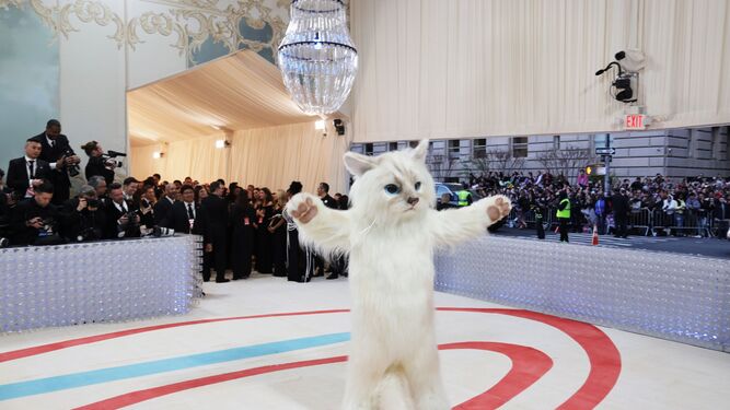 Jared Leto como un gato gigante en la MET Gala