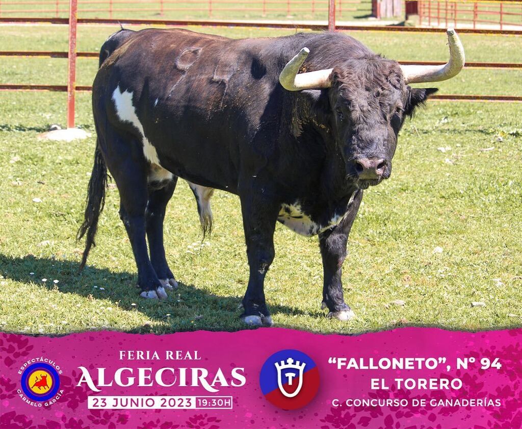 Los toros rese&ntilde;ados para la corrida concurso de la Feria de Algeciras 2023, en im&aacute;genes