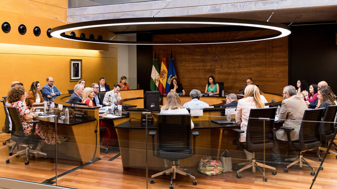 Imagen de la sesión extraordinaria del Ayuntamiento de San Fernando con los nuevos concejales.