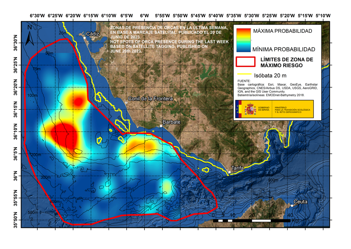 Mapa del Estrecho de Gibraltar donde se han producido avistamientos de Orcas en la última semana, según el marcaje satelital.