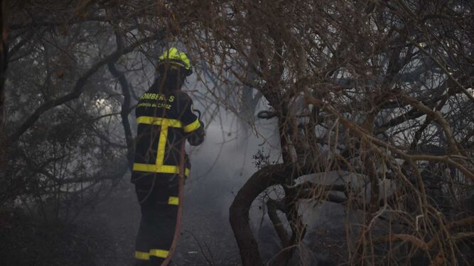 El fuego arrasa Las Canteras en Puerto Real