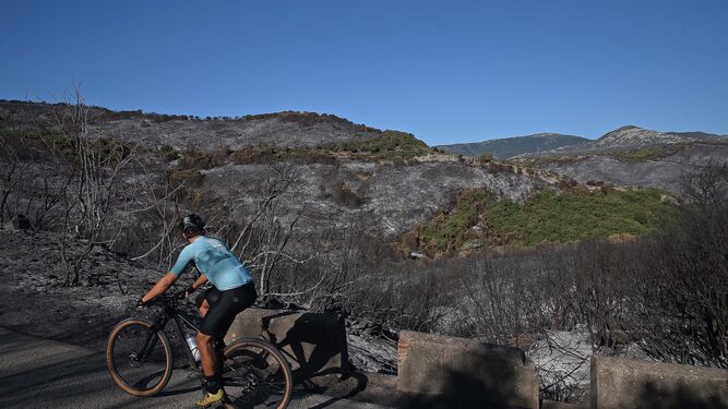 El impacto del incendio forestal de Algeciras, en imágenes