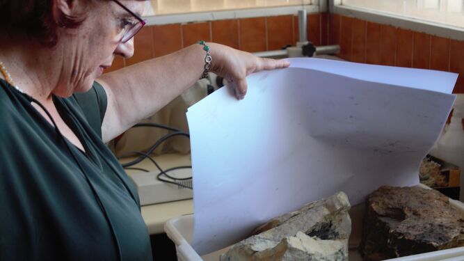 La investigadora Mari Carmen Lozano observa los restos vegetales carbonizados insertos en el interior de distintas rocas.