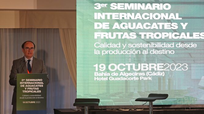 III Seminario Internacional de aguacates y frutas tropicales, en imágenes