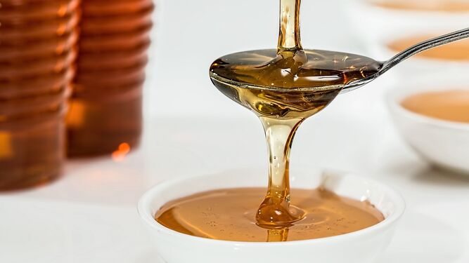 Esta es la nueva amenaza a la producción de miel en Andalucía