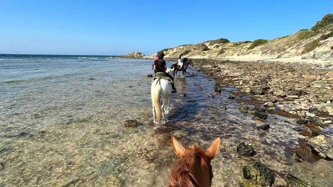 Paseo a caballo por las playas de Tarifa.