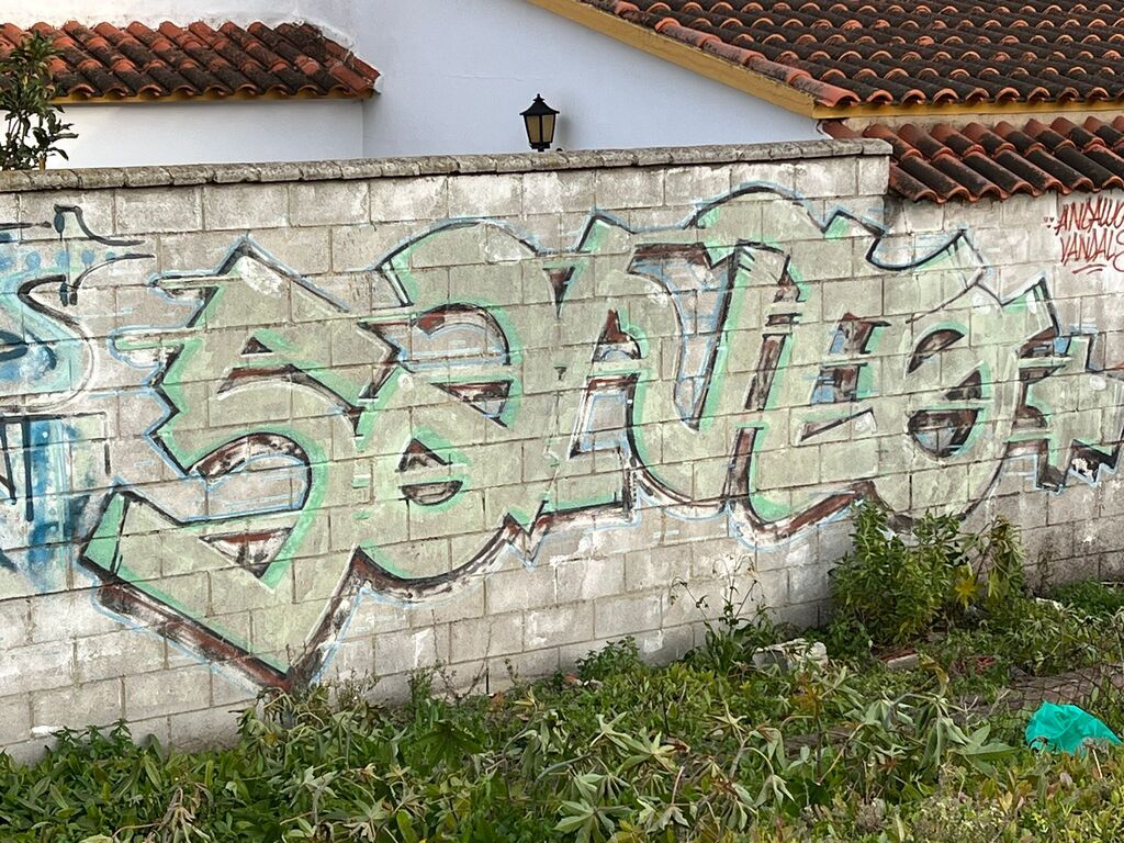 Grafitis en la carretera de Getares.