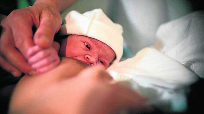El mes de noviembre de 2023 vio llegar a 745 recién nacidos a la provincia.