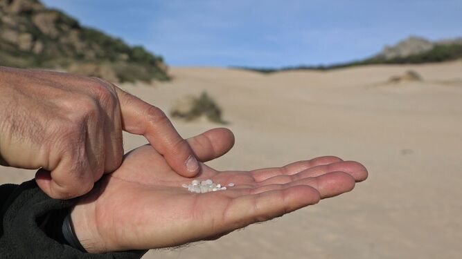 Pellets recogidos en la playa de Bolonia, en Tarifa.