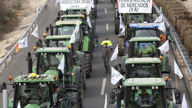 En Andalucía habrá protestas conjuntas el próximo 14 de febrero.