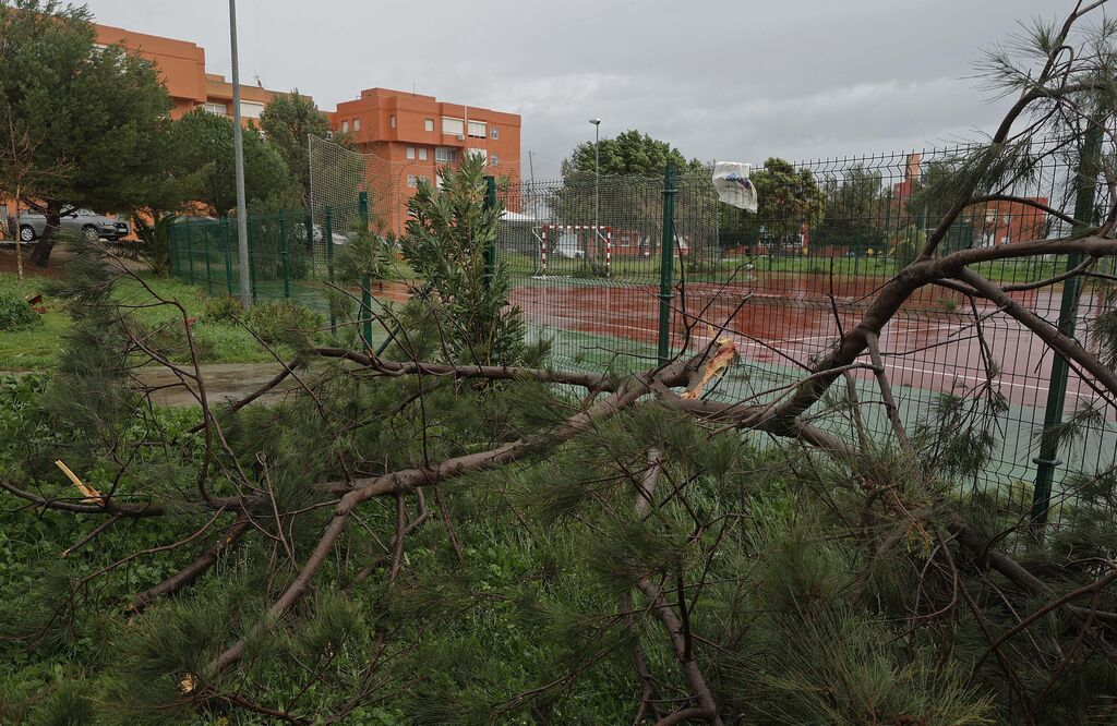 Fotos de los da&ntilde;os del temporal Karlotta en Algeciras