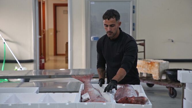 El pescador linense Jonathan Sánchez, sancionado por agentes de medioambiente de Gibraltar.