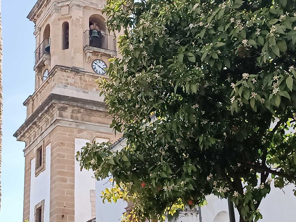 El azahar florece en Algeciras
