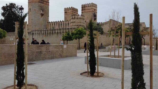 El nuevo arbolado junto a la Plaza del Castillo, dentro del proyecto 'Pasillo Amable'.