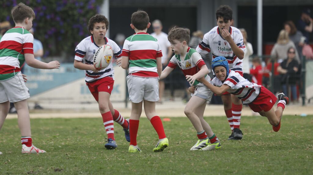 Las fotos del Torneo de Rugby en Pueblo Nuevo de Guadiaro