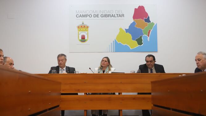 Susana Pérez Custodio preside la Junta de Comarca, este viernes.